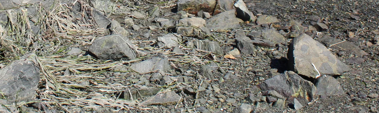 Detail of rocky ground on the shoreline at COHO Development