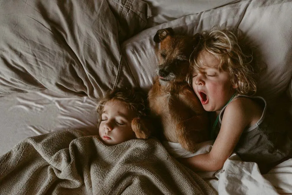Two children and a small dog sleeping together in a bed