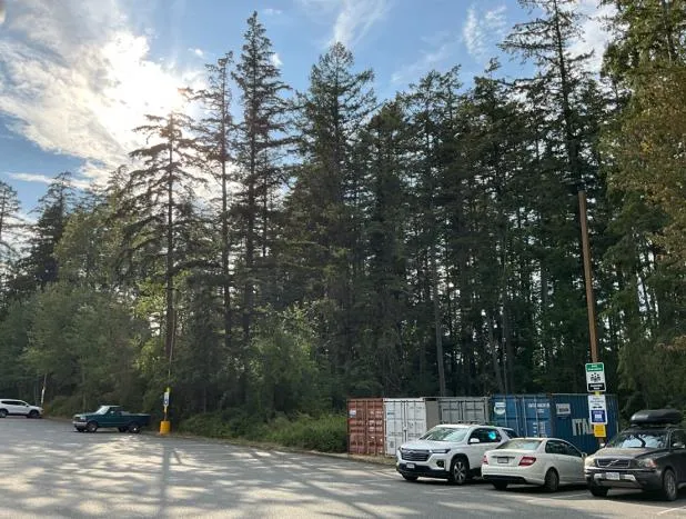 Area 6, view facing west.