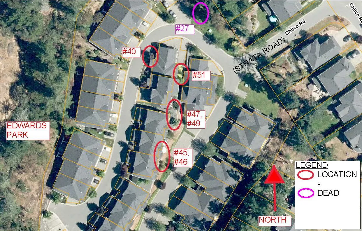 Aerial map identifying locations of trees numbered 27, 40, 45, 46, 47, 49, and 51 requested for removal