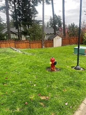Photograph showing insufficient ground cover in the southwest corner of the lawn area