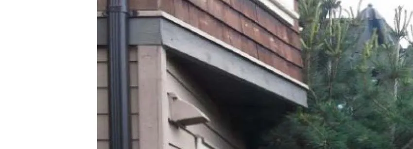 Top corner of building with adjacent evergreen tree branches