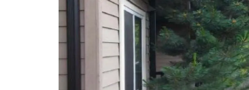 Evergreen tree branches against building siding