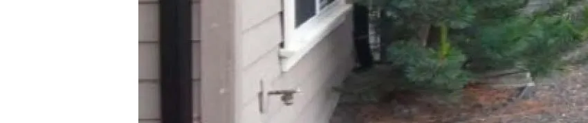 Window and base of evergreen tree planted near building foundation