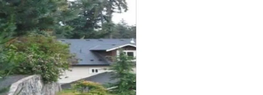 Rooftop of building and lower branches of a nearby evergreen tree
