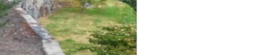 Stone retaining wall bordering a grassy yard area