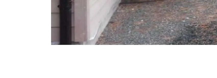 Close-up of building foundation and downspout near base of tree