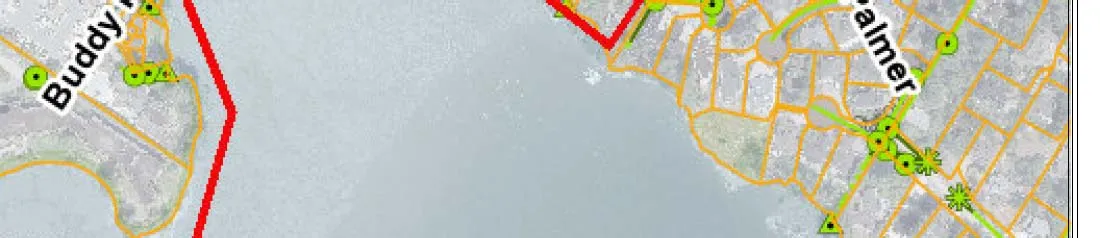 Map section showing Palmer and Nia Lane area