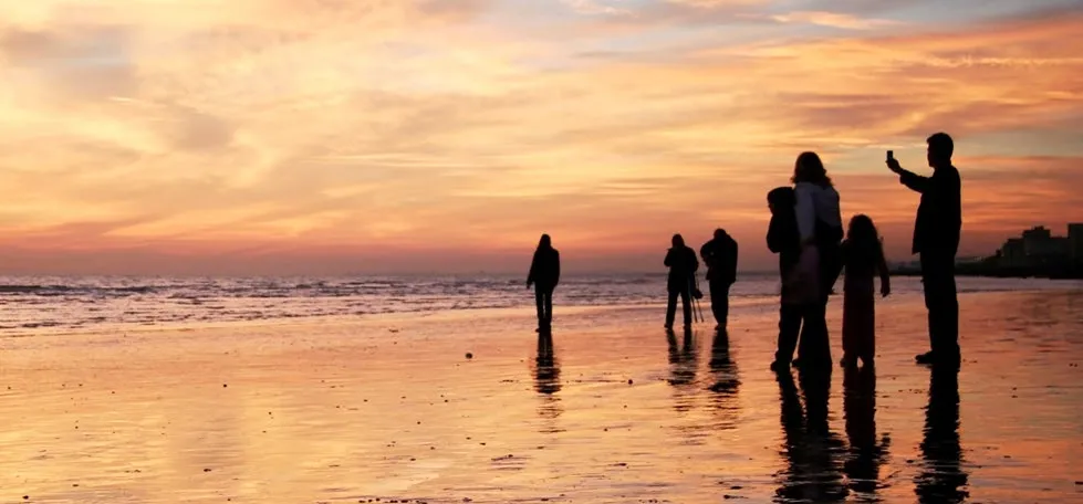 Silhouettes of people on a beach at sunset