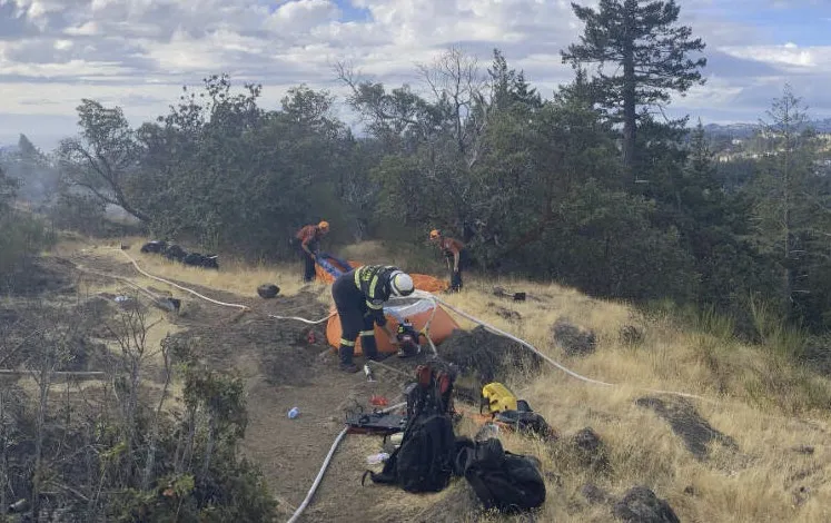 Emergency responders conducting training or operations in a forested area with hoses and equipment