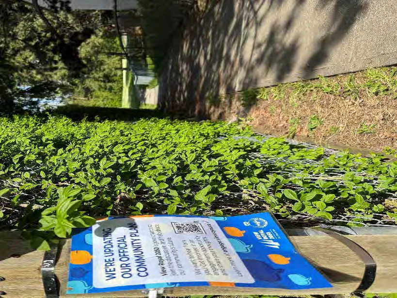 Close-up photo of an engagement poster titled "WE'RE UPDATING OUR OFFICIAL COMMUNITY PLAN!" attached to a post near a green hedge.