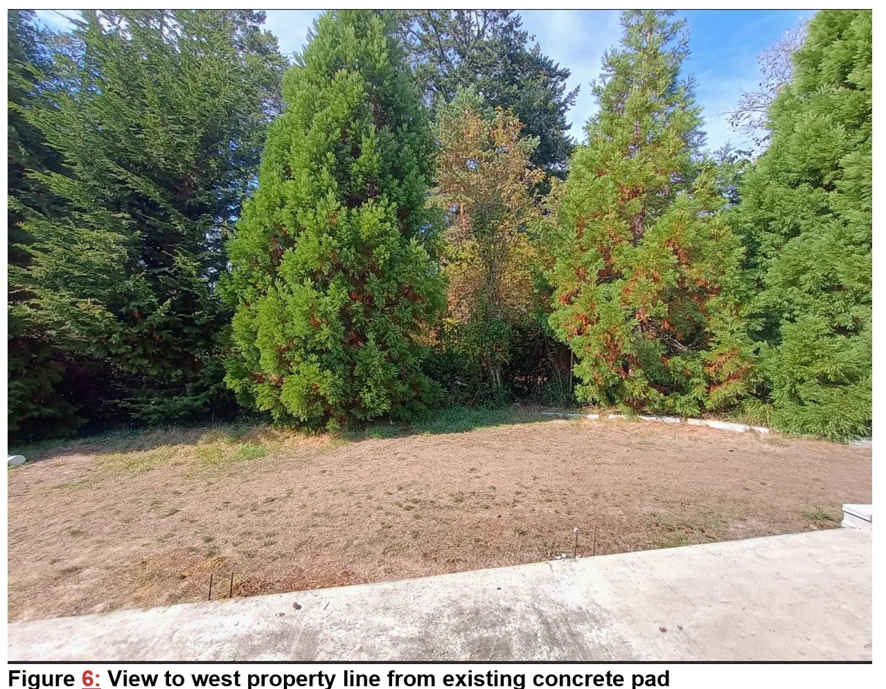 Photo showing the view to the west property line from the existing concrete pad