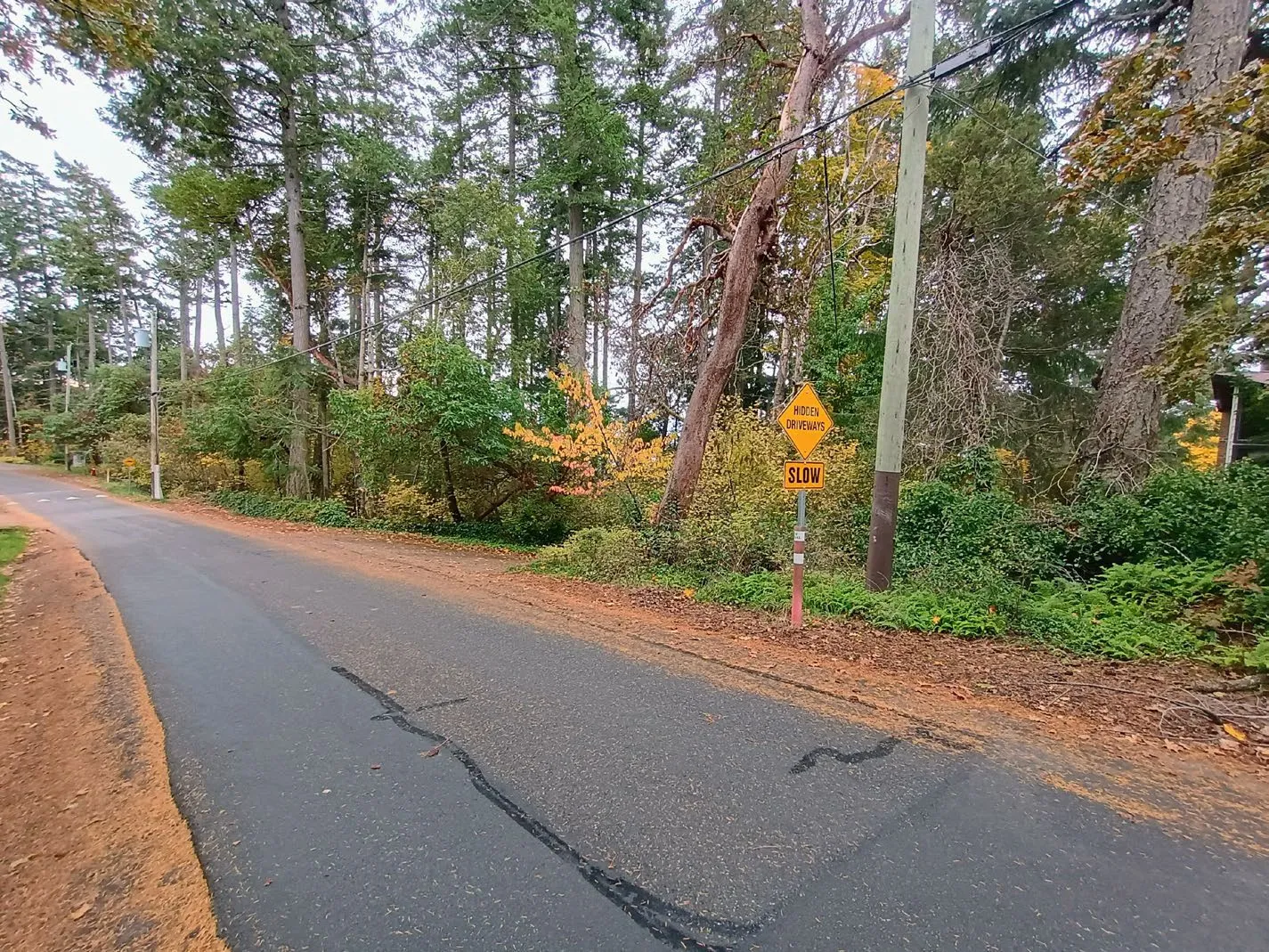 Photo looking West on View Royal Avenue towards the driveway for 195 View Royal Avenue
