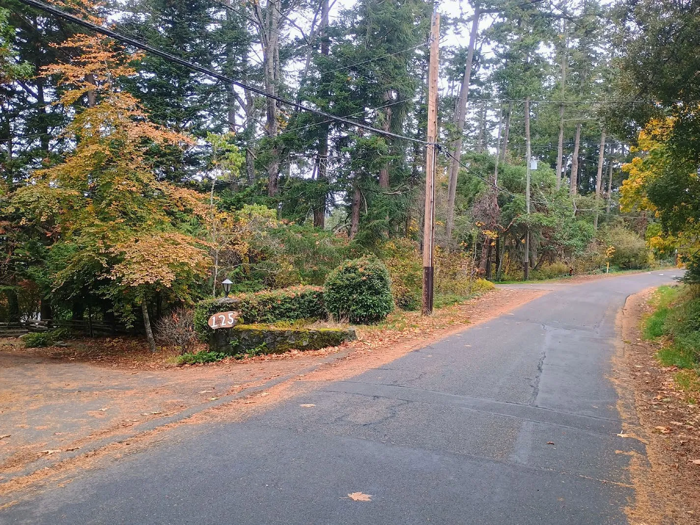 Photo of the driveway for 125 View Royal Avenue