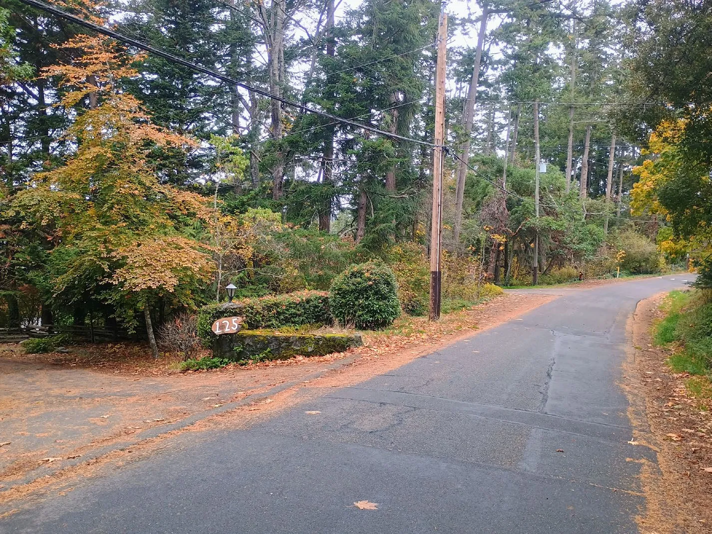 View of the road showing the driveway for 125 View Royal Avenue to the East.