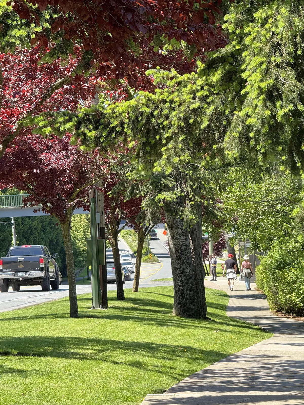 Street scene in View Royal with lush green trees, a black truck driving, and pedestrians on a sidewalk