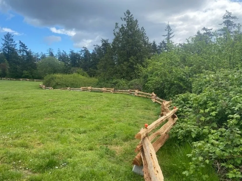 New split rail fencing in off-leash dog area in View Royal Park