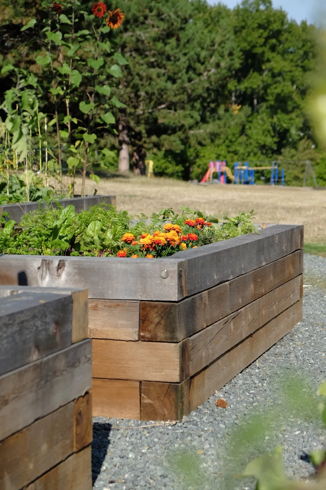 Community Gardens at View Royal Park