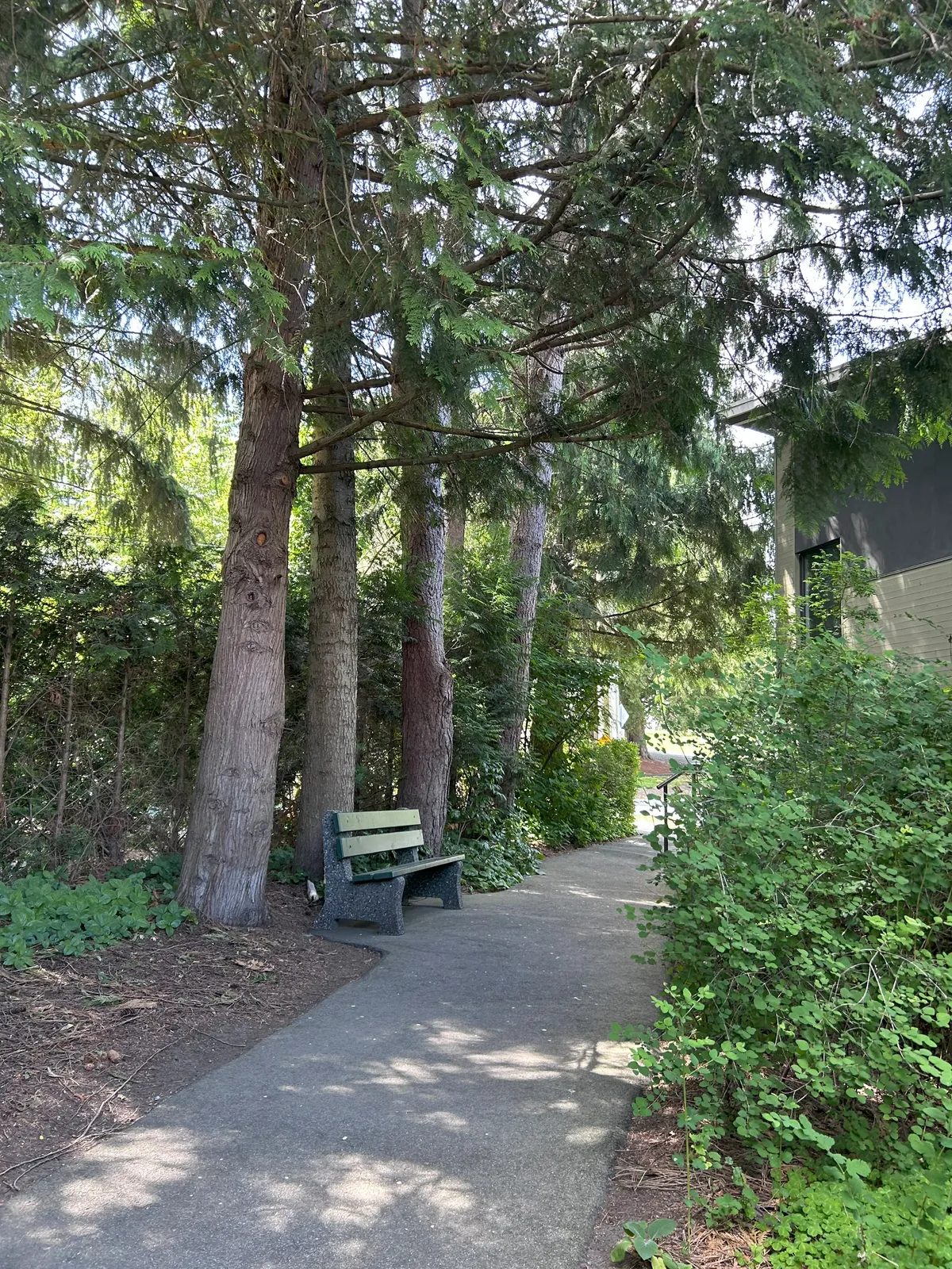 Path beside Town Hall
