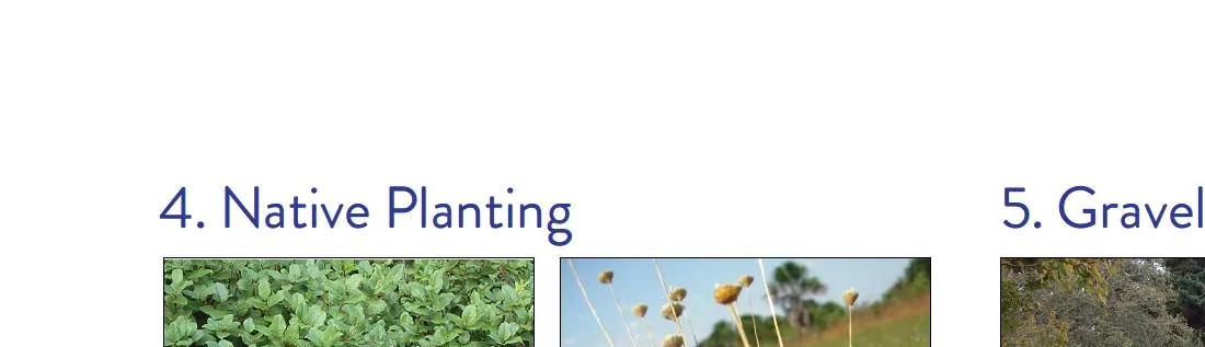 Reference title for Native Planting and Gravel Path