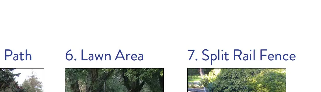Reference titles for Gravel Path, Lawn Area, and Split Rail Fence