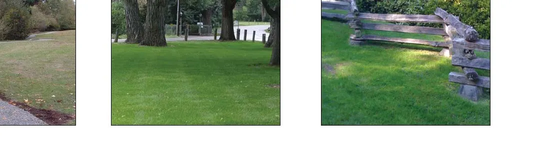 Photo examples of a Gravel Path, Lawn Area, and Split Rail Fence