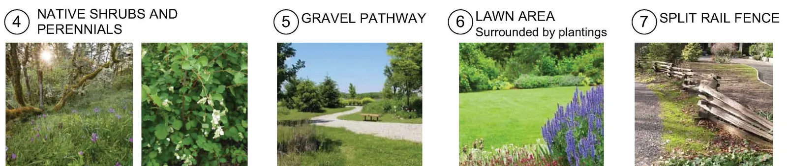 Photos of native greenery and flowering shrubs