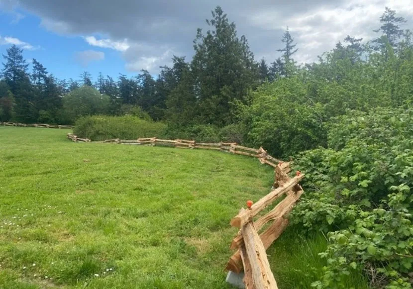 Photo: New split rail fencing curving through a field in an off-leash dog area in View Royal Park
