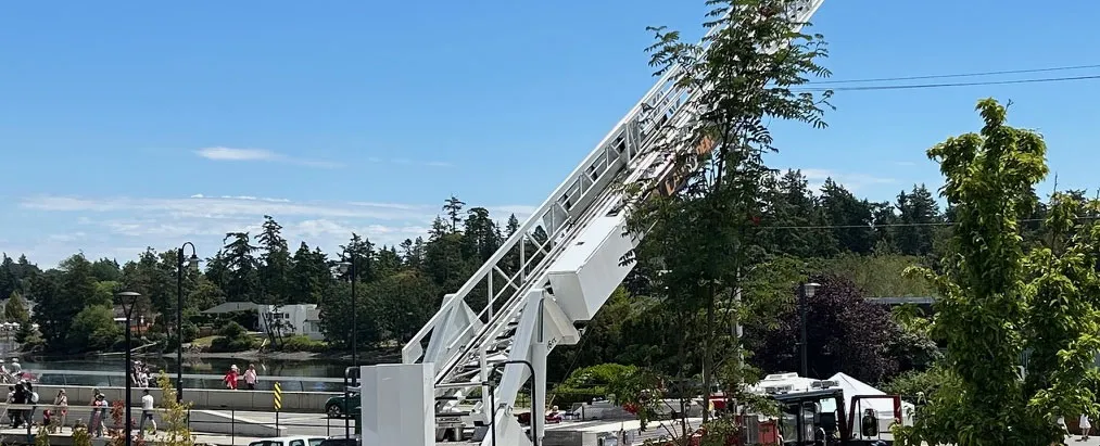 Middle section of the fire ladder structure