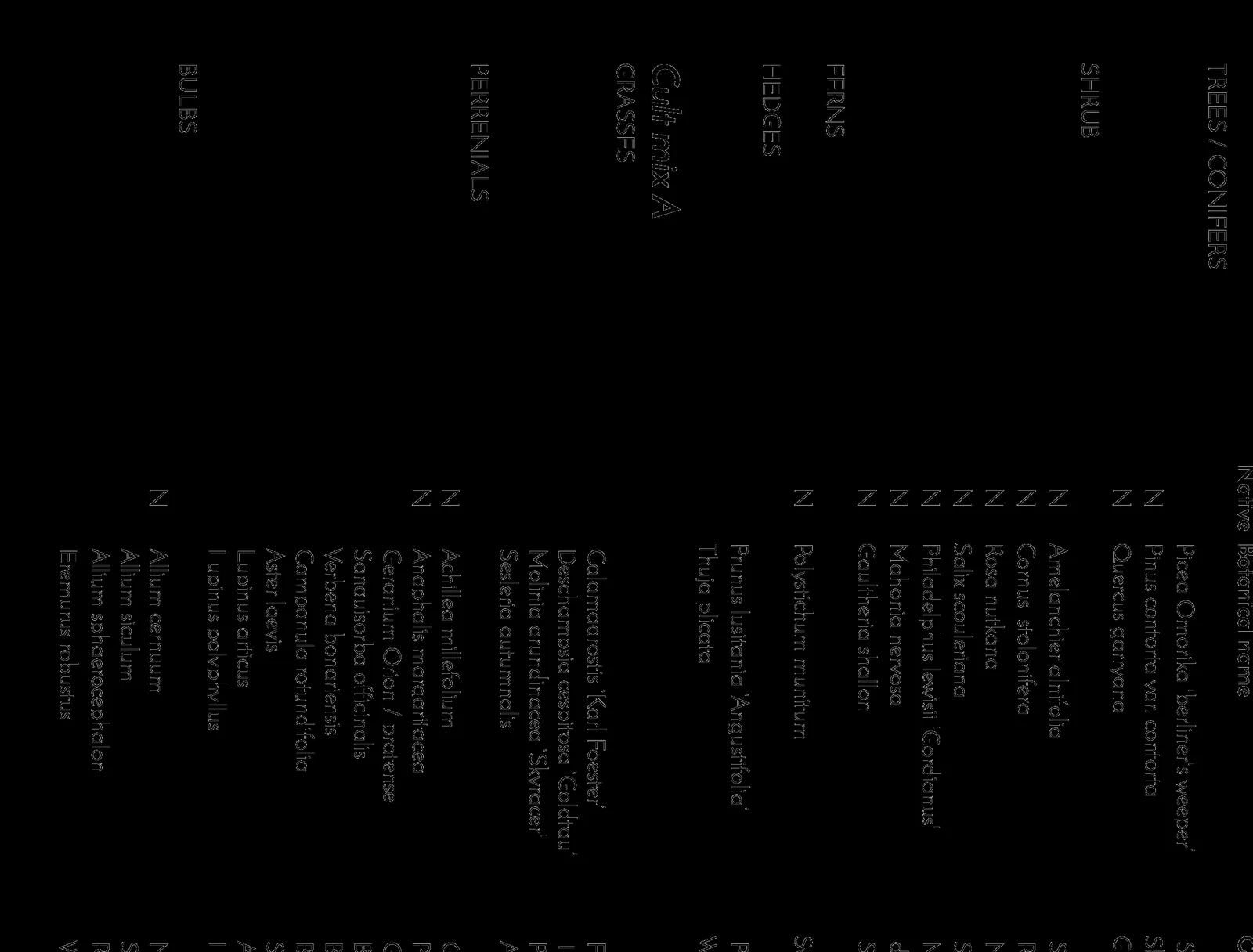 Detail of main plant list from Landscape Site Plan including Trees/Conifers, Shrubs, Hedges, and Ferns