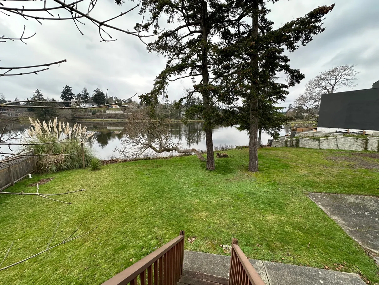 Photo 1. View looking west through the SDPA from former house. Douglas-firs and garry oak, ornamental to be retained, lawn to be converted to native plantings. Elevated walkway to be at north end (right side of photo), gravel path through the centre.