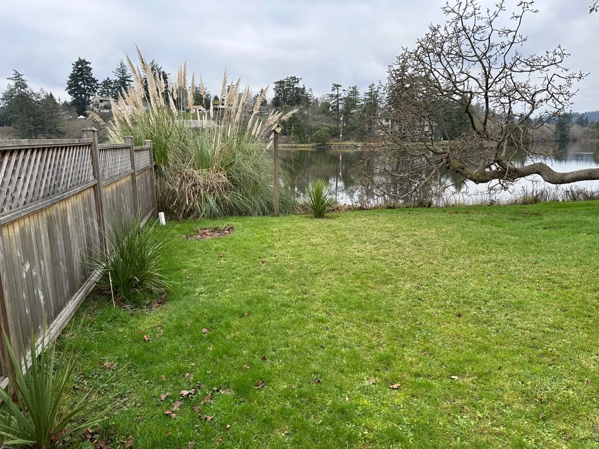 Photo 6. South end of SDPA, pampas grass and yucca, and lawn to be replaced with native plantings, including shrubs at the shoreline.