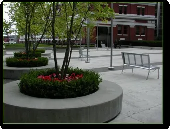 Paved public plaza with circular concrete planters containing trees and a metal bench