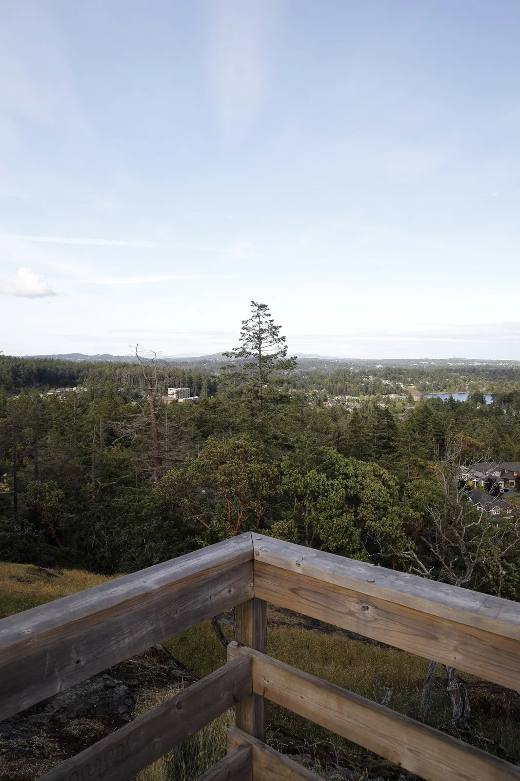 High-angle view from a wooden lookout over a densely forested area