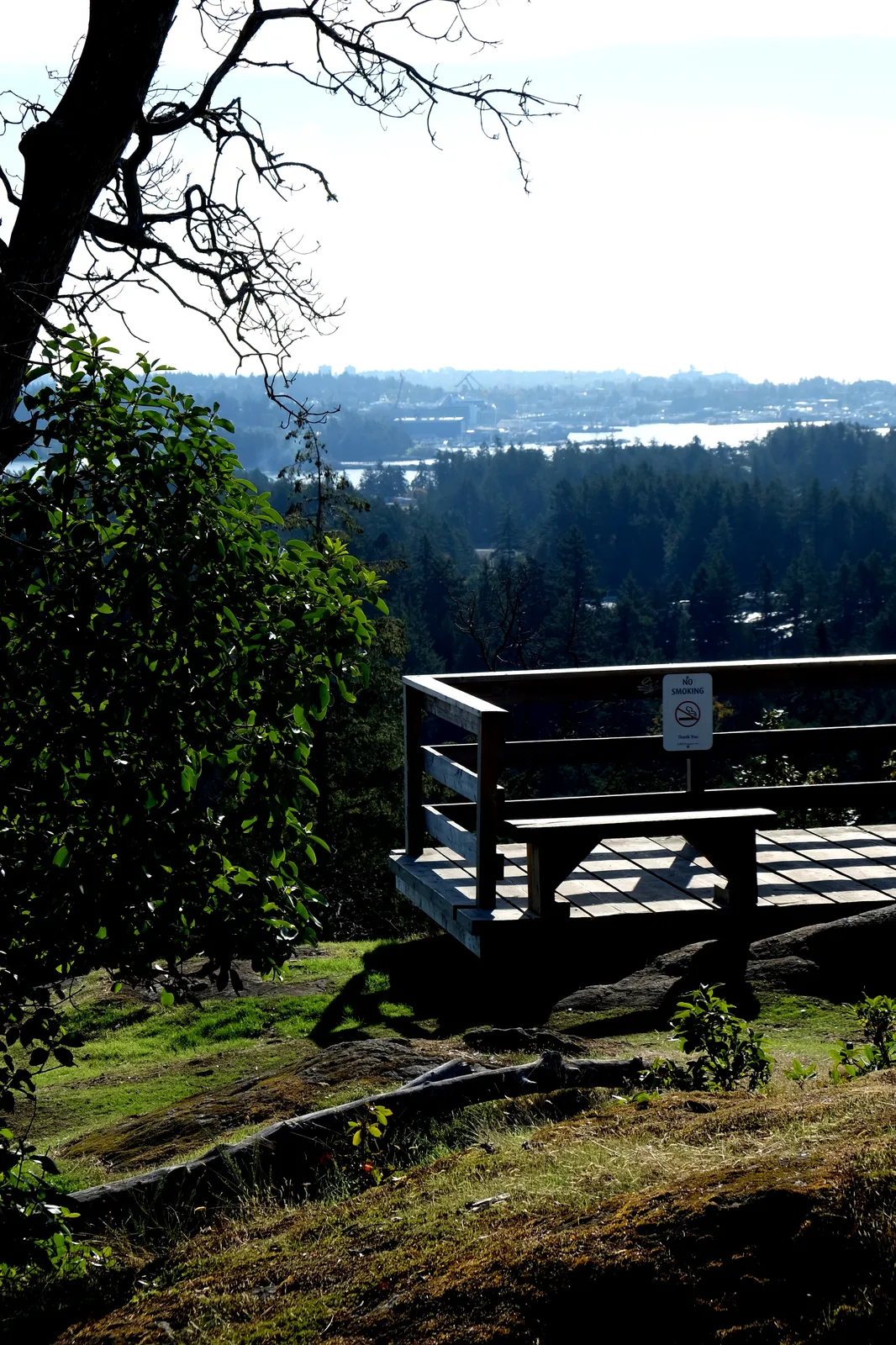 A wooden lookout platform with a bench overlooking a forested area and water in the distance