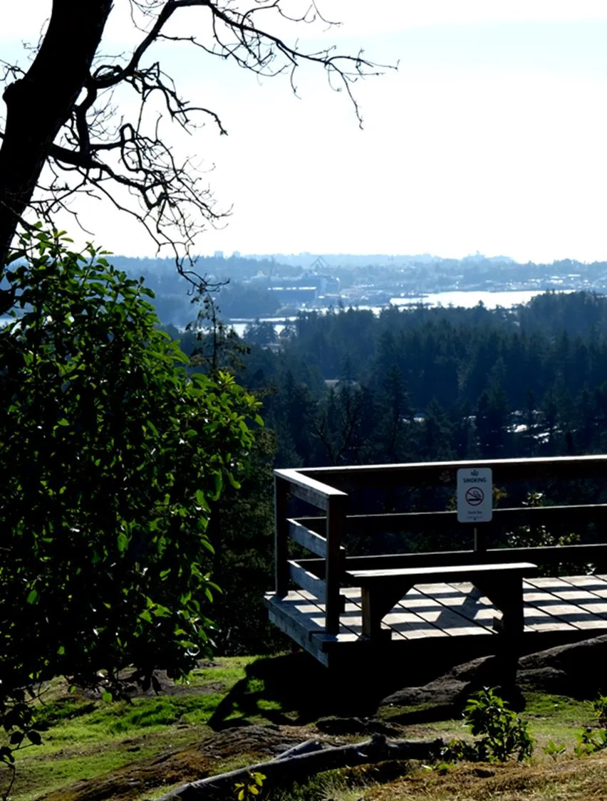 A wooden viewing platform with a bench overlooking a forested landscape with water in the distance