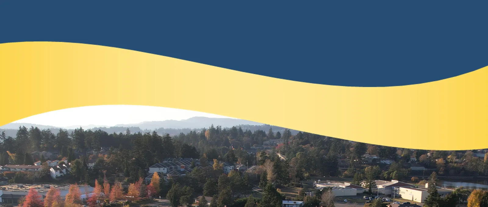 Blue and yellow banner