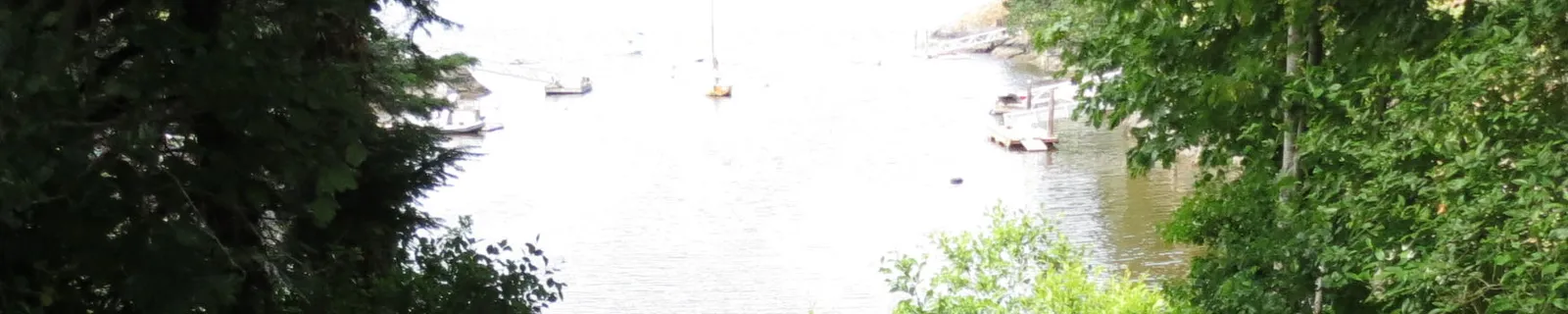 Scenic view of Lime Kiln Cove with small boats on the water, seen through a gap in the trees.