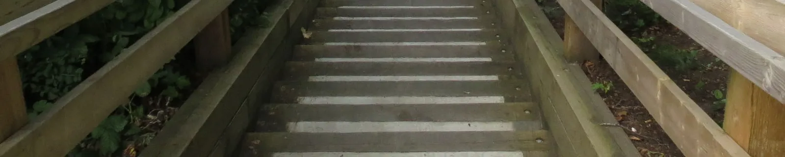 The lower steps of the wooden staircase leading to the Lime Kiln Cove access.