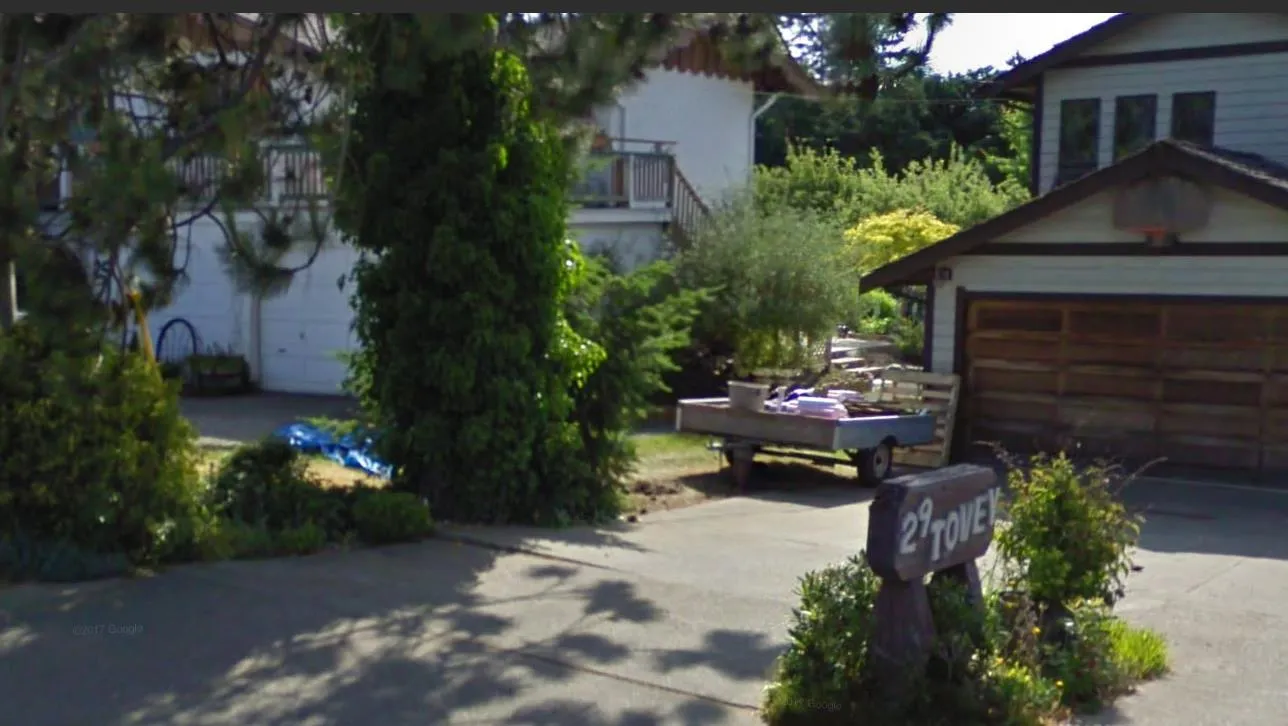 Closer look at the driveway from 2009 showing a section starting to lift encircled in red