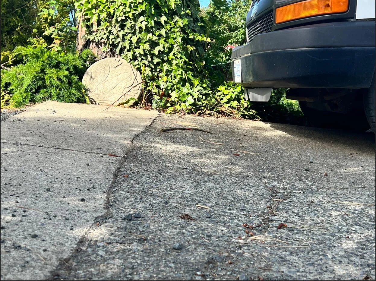 Section of driveway next to tree showing heaving and twisting with red arrows pointing to a crack