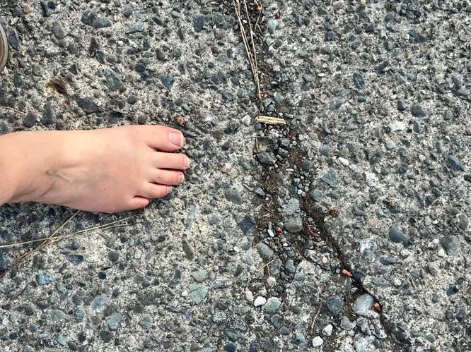 Close up of the crack with a bare foot for scale