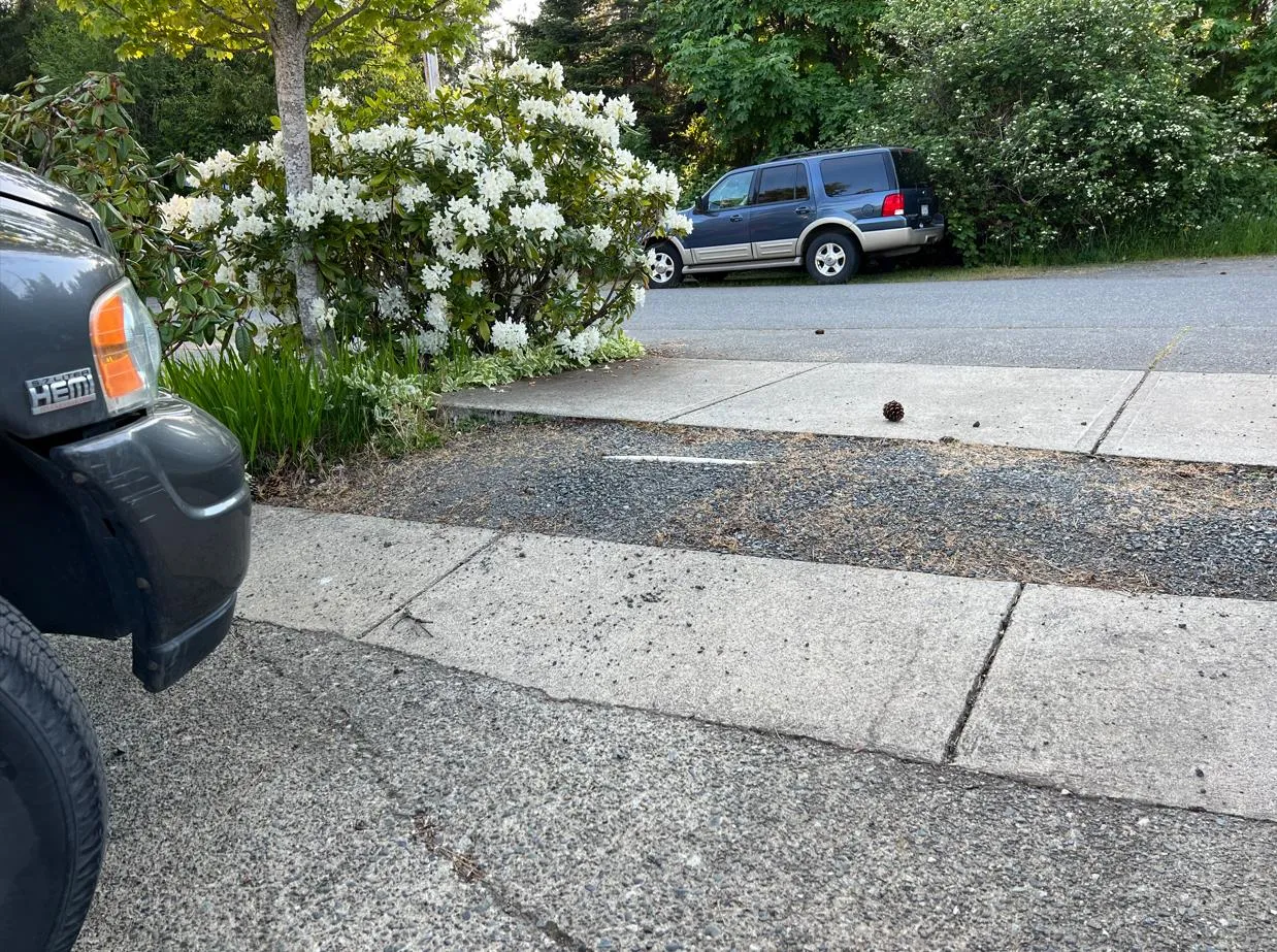 Another view of the crack and driveway elevation