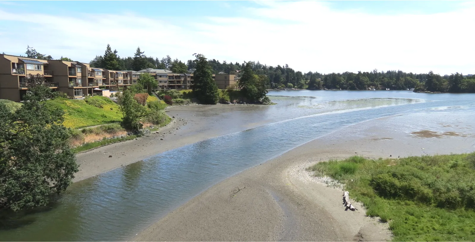 Low tide from Parson's Bridge