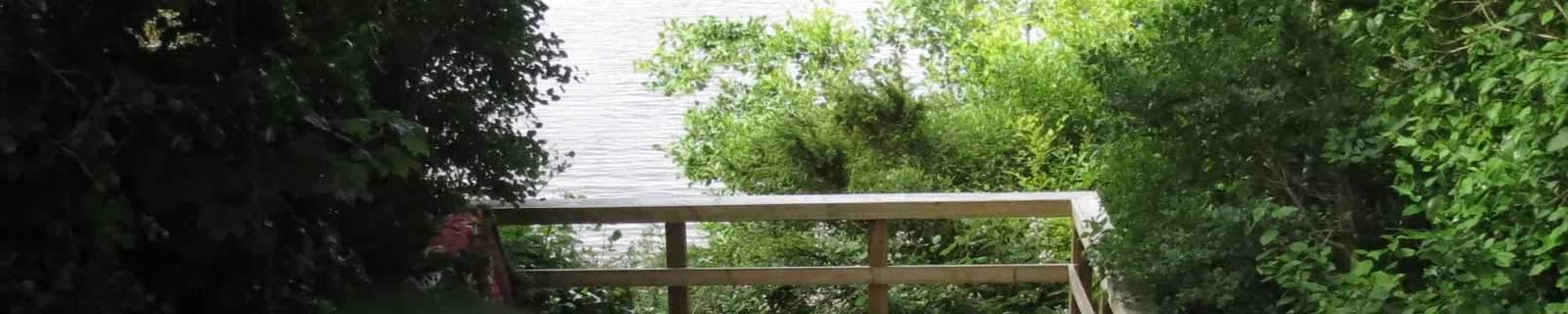 Close up of wooden railing and green foliage