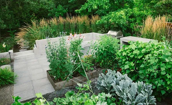 A multi-level garden with concrete walls and various plants