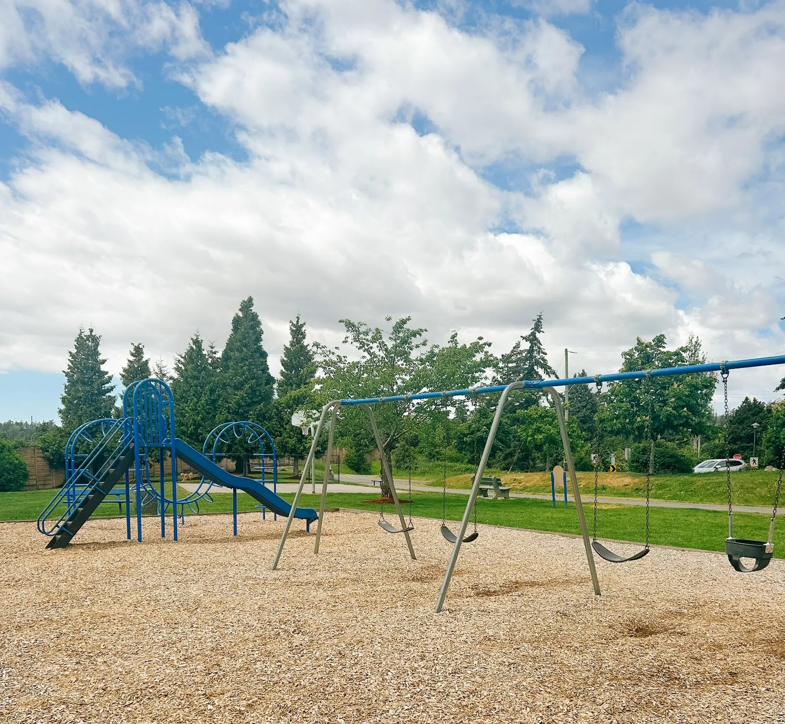A photo of the existing playground at Chancellor Park featuring a blue metal climbing structure with a slide and a set of swings over a wood chip ground surface.