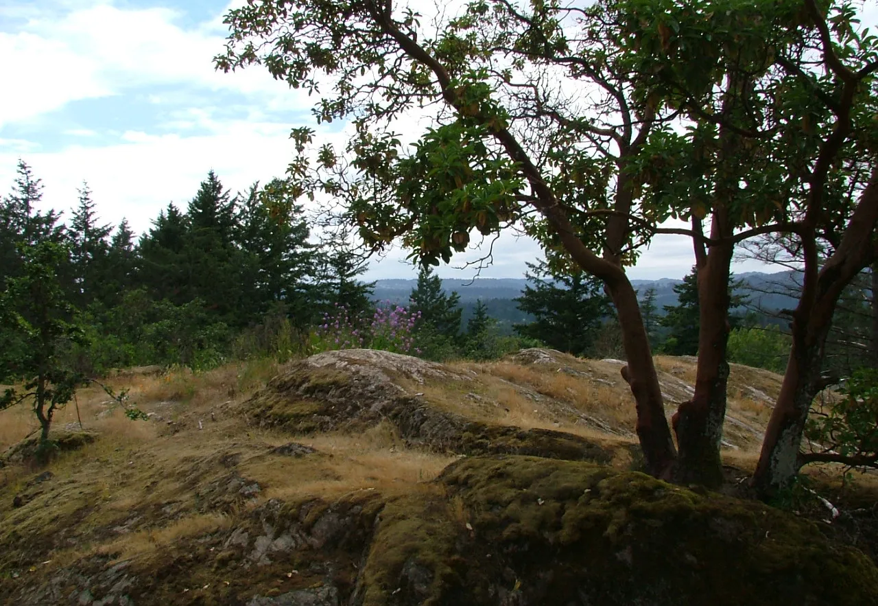 Knockan Hill Park featuring a rocky, natural landscape