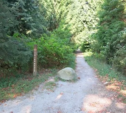 Photograph of an "Easy Forest Trail"