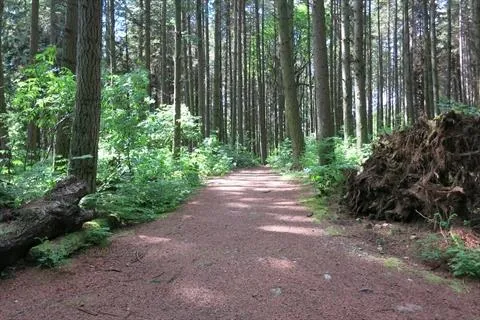 Photograph of a "Regional Gravel Pathway"